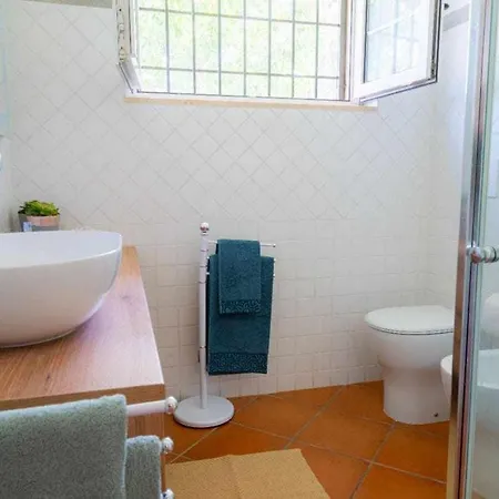 Gaia By Vivimy Torre Suda