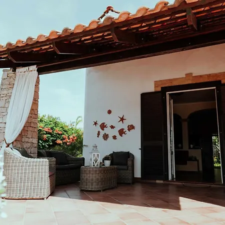 Gaia By Vivimy * טורה סודה