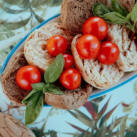 Gaia By Vivimy Torre Suda